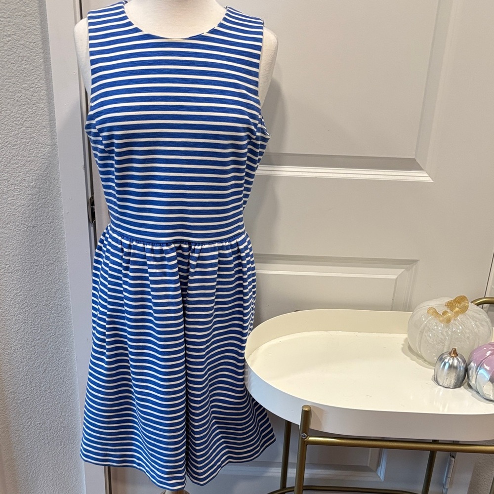 J.Crew Blue and White Striped Dress